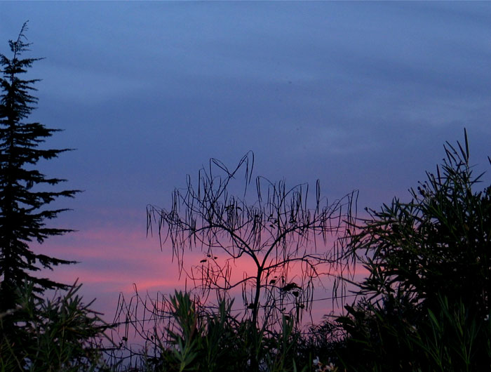 cielos689.jpg