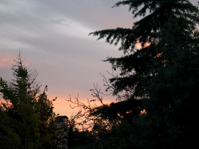 cielos692.jpg