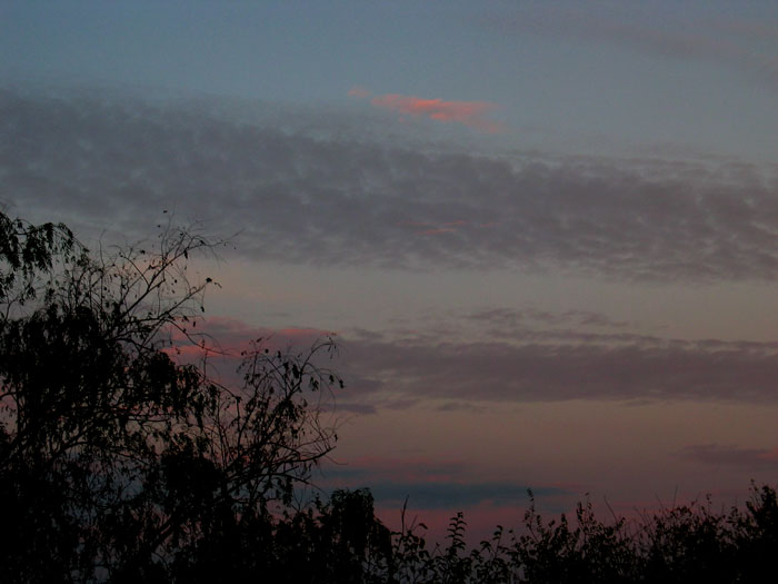 cielos697.jpg