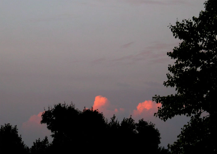 cielos698.jpg