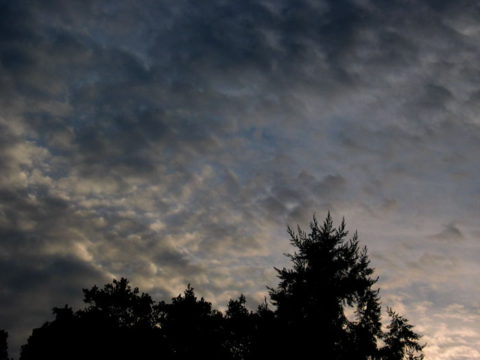 cielos703.jpg