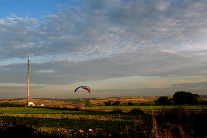 cielos705.jpg