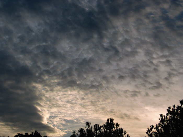 cielos714.jpg