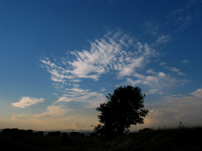 cielos717.jpg