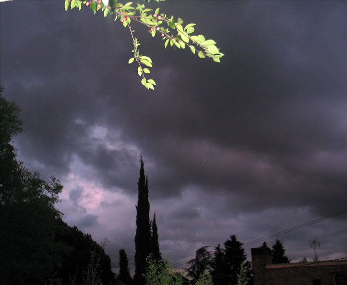 cielos719.jpg