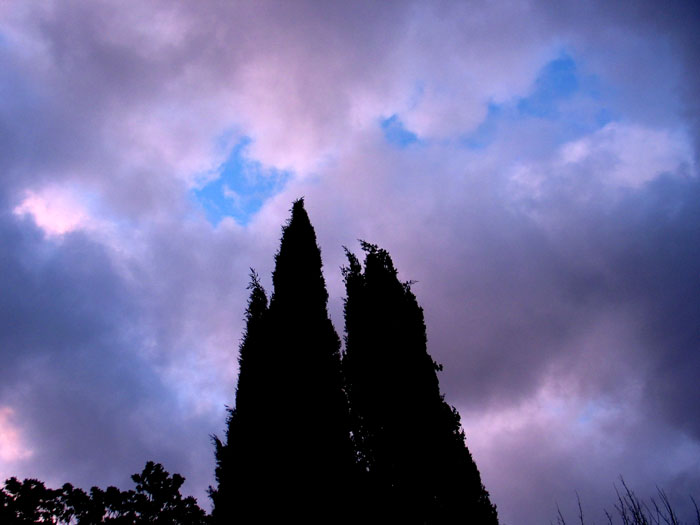 cielos722.jpg