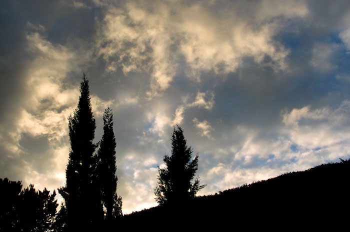 cielos730.jpg