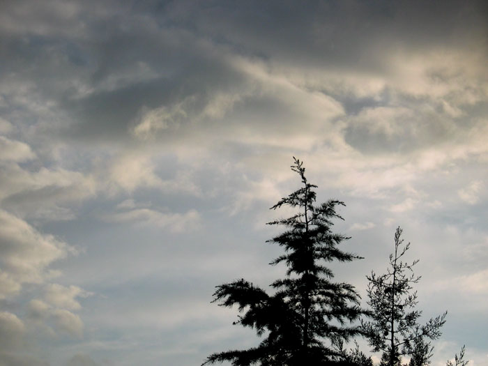 cielos731.jpg