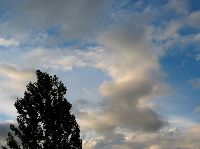 cielos732.jpg