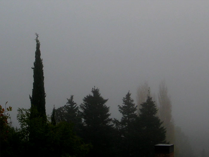 cielos746.jpg