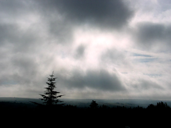 cielos749.jpg