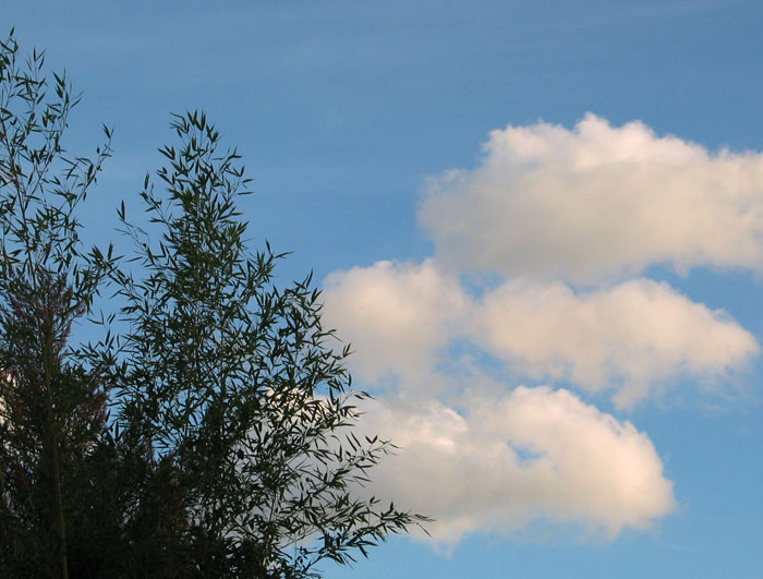 cielos752.jpg