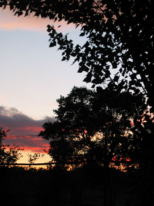 cielos753.jpg
