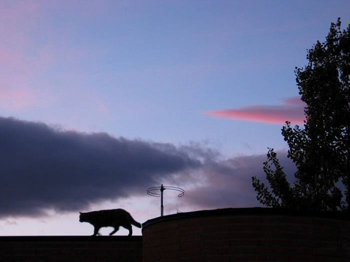 cielos757.jpg