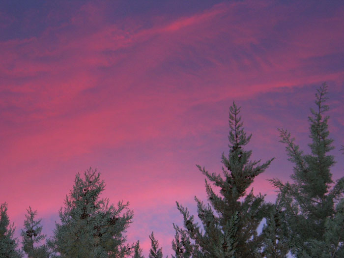 cielos761.jpg