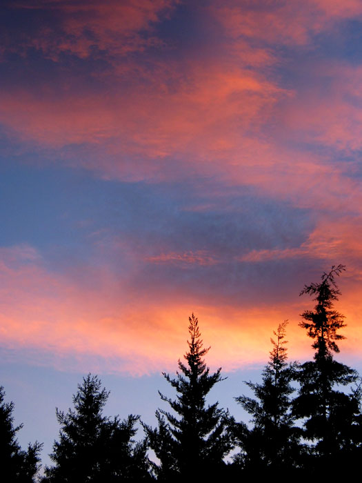 cielos762.jpg