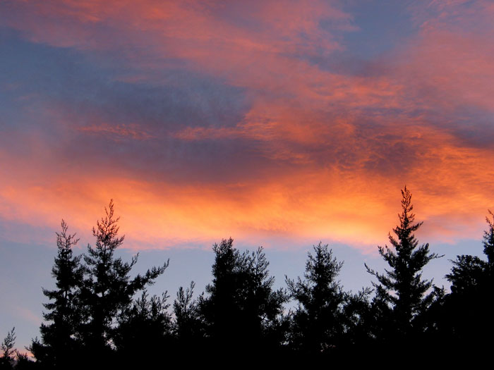 cielos763.jpg