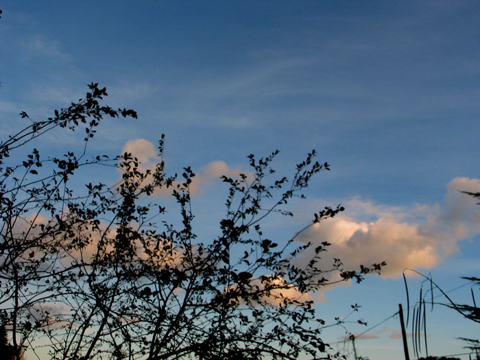 cielos766.jpg