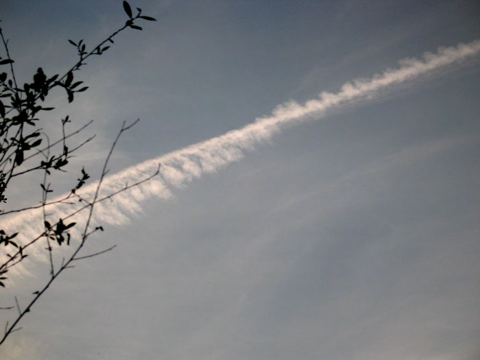 cielos767.jpg
