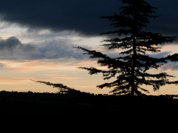 cielos768.jpg