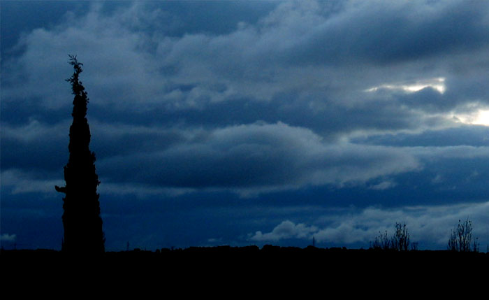 cielos770.jpg