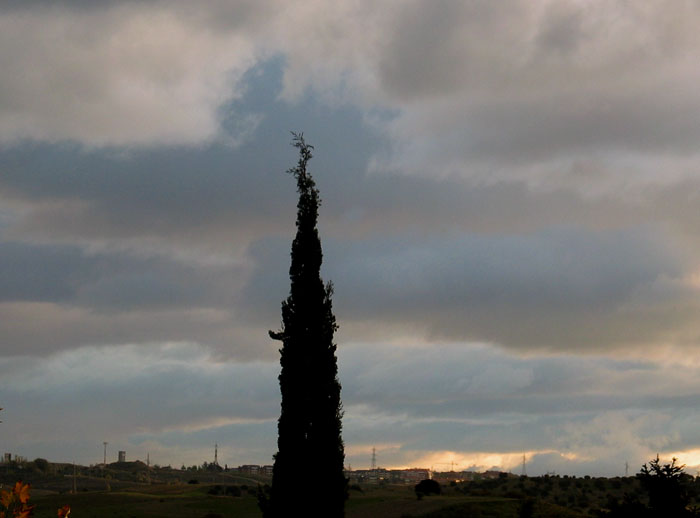 cielos782.jpg