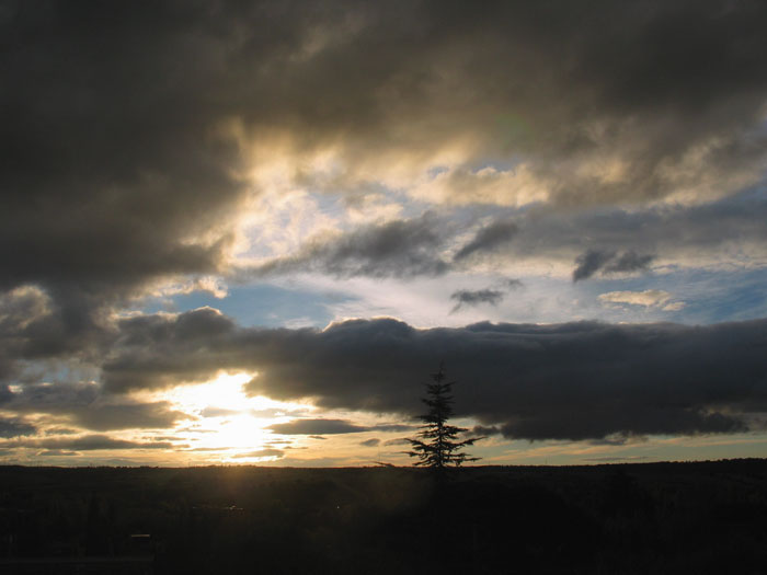 cielos785.jpg