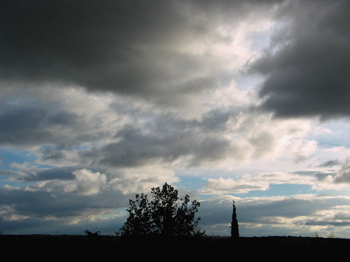 cielos790.jpg