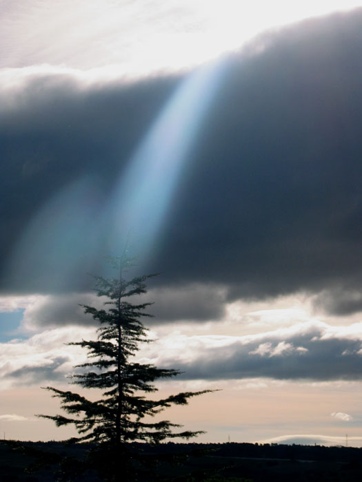 cielos792.jpg