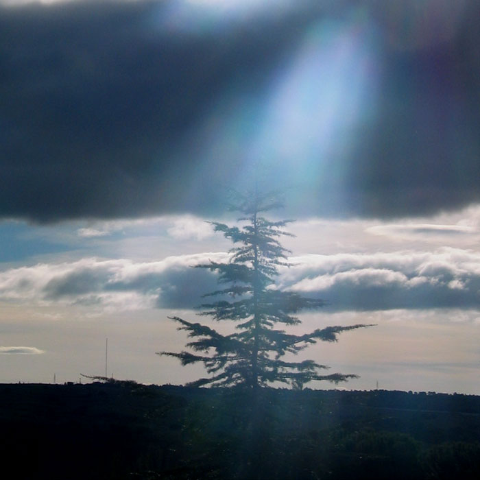 cielos794.jpg