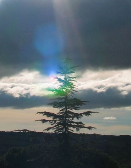 cielos795.jpg