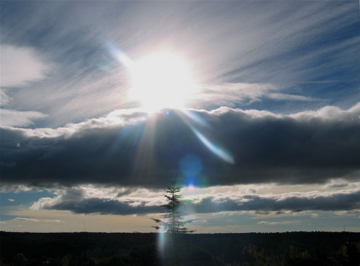 cielos796.jpg