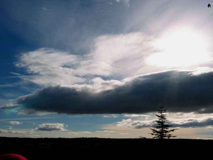 cielos798.jpg
