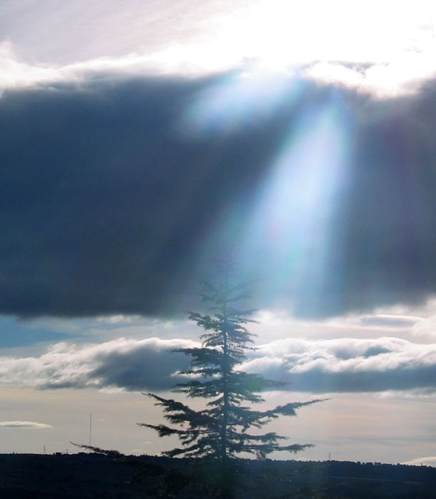 cielos800.jpg
