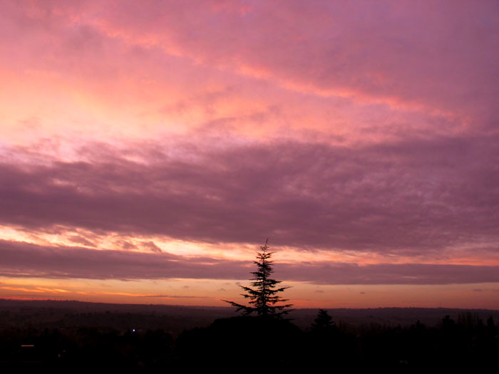 cielos847.jpg