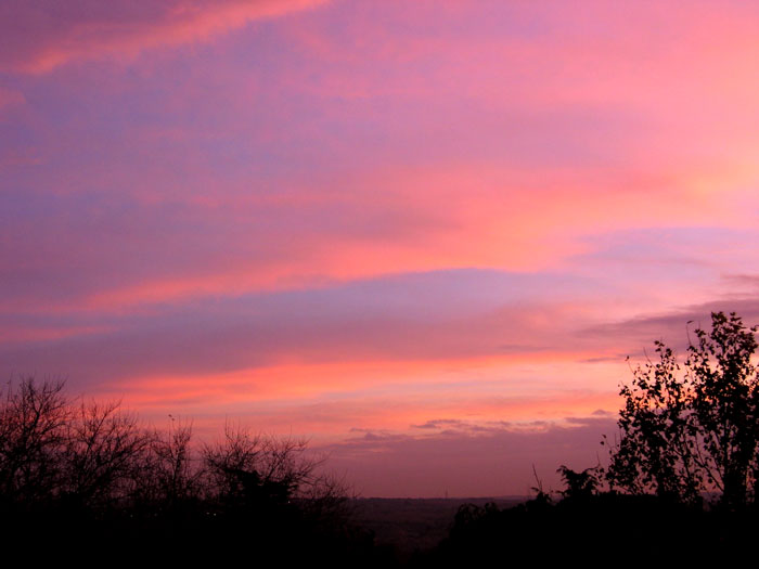 cielos849.jpg