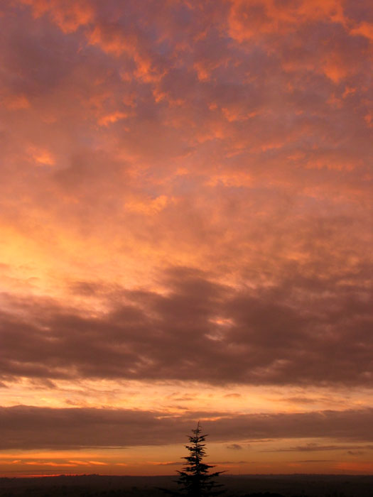 cielos853.jpg