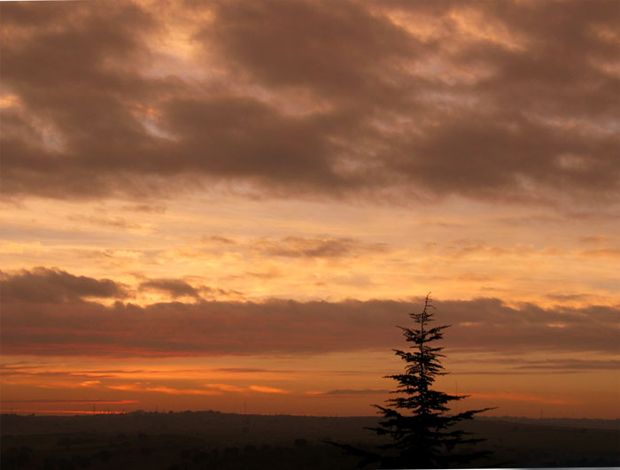 cielos856.jpg