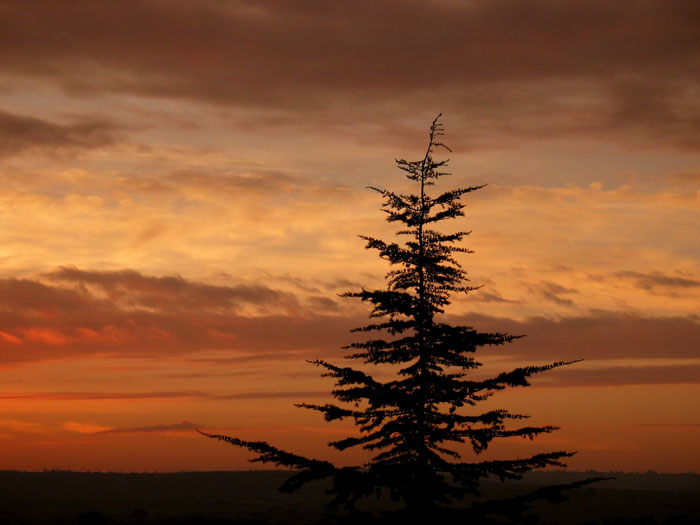 cielos859.jpg