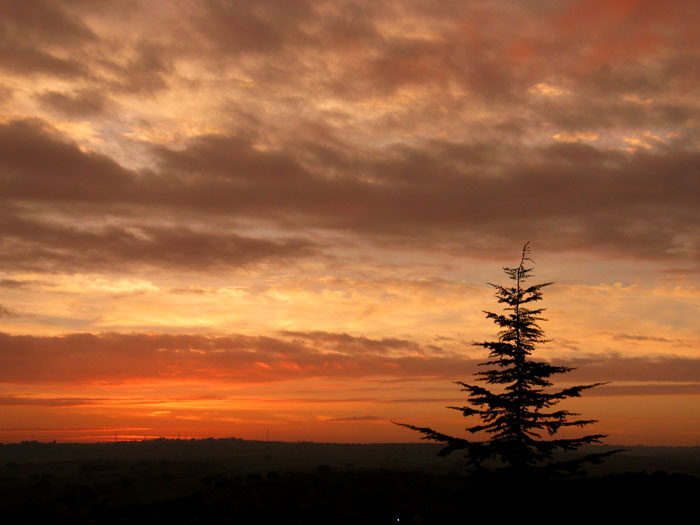 cielos860.jpg