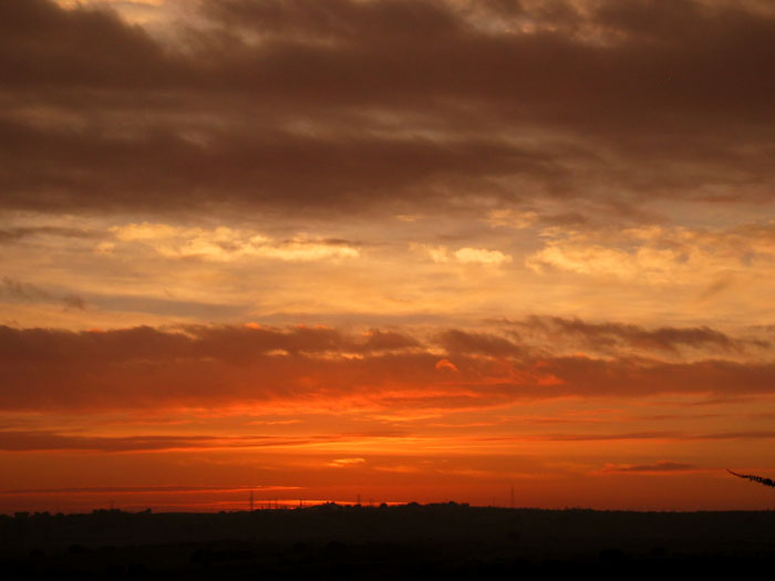 cielos861.jpg