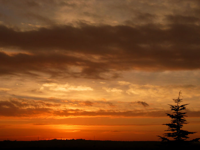 cielos862.jpg