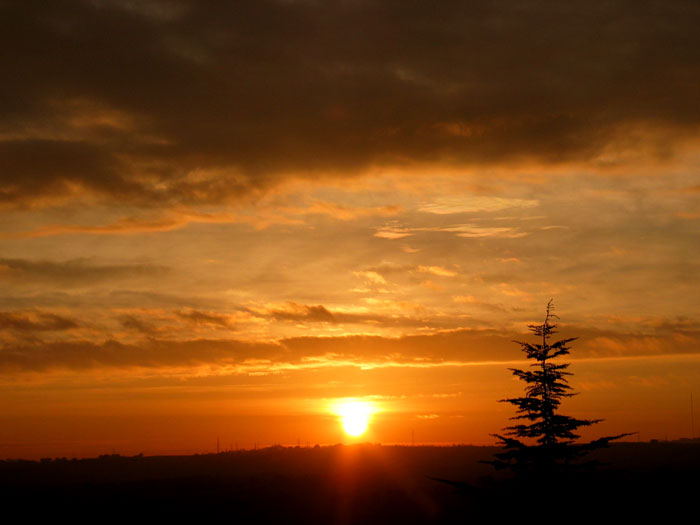 cielos863.jpg