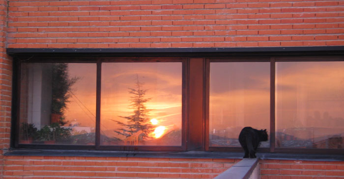 cielos864.jpg