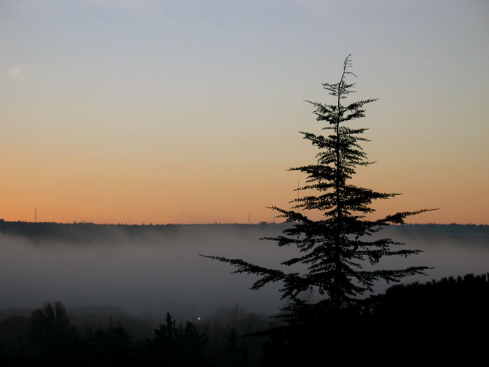 cielos871.jpg