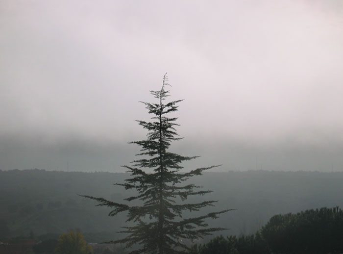 cielos898.jpg
