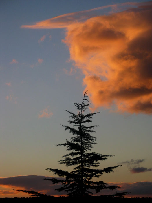 cielos900.jpg