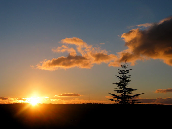 cielos905.jpg
