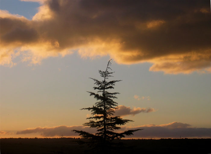 cielos908.jpg