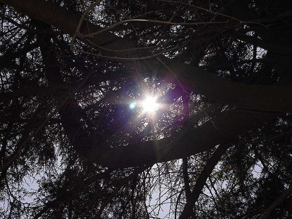 cielos91.jpg